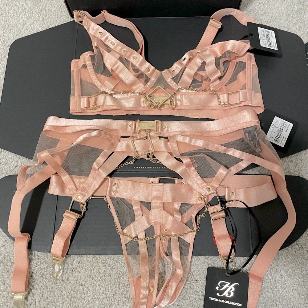 Women's Pink Indria Honey Birdette Bondage Lingerie Set New With Tags